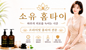 소유홈타이