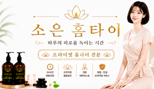 소은홈타이