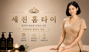 세진홈타이